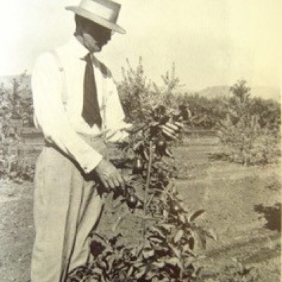 altadena-heritage
