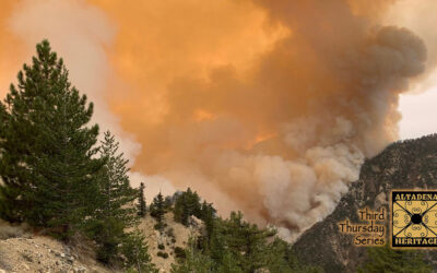 Wildfire Smoke and Your Health