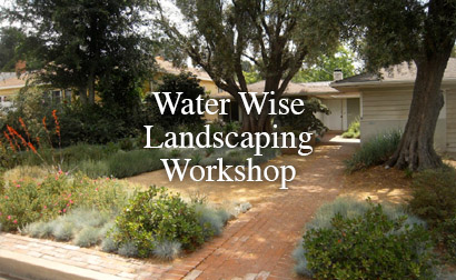 Water Wise Landscaping Workshop