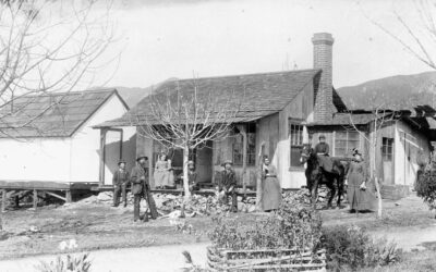 The Giddings Family and Mountain View