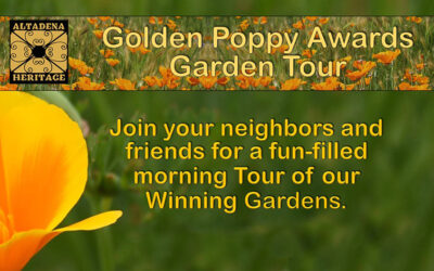 Morning Garden Tour 2024 Award Winners
