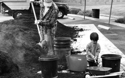 Where does the stuff in the Green Bin go?