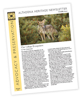 newsletter-cover