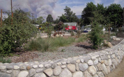 Enhancements to the Old Marengo Triangle