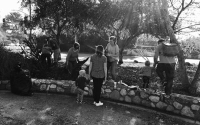 Old Marengo Park Cleanup