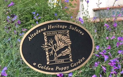 Golden Poppy Awards 2020