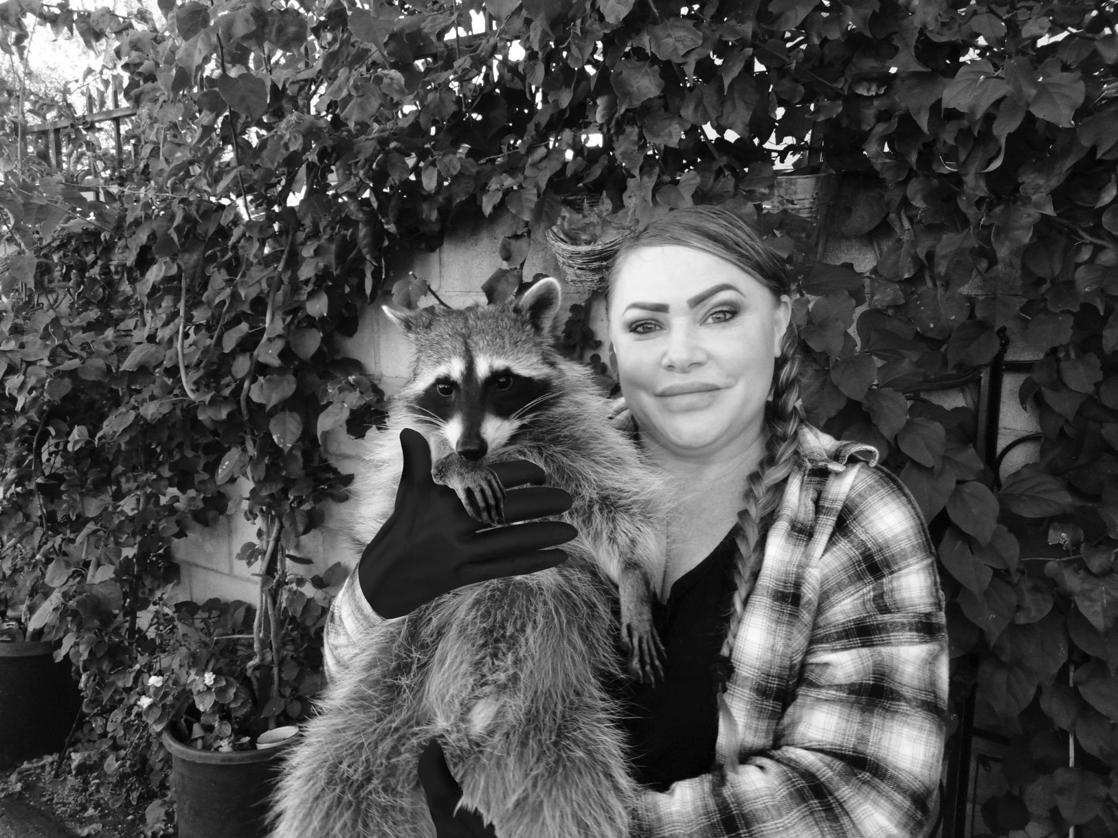 racoon-gloves