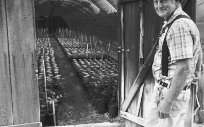 Nuccio’s Nursery Over the Decades