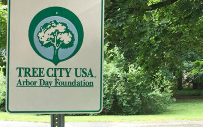 Altadena Now an Official “Tree City”