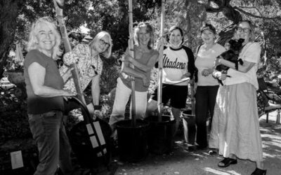 Altadena Tree Committee