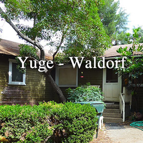 Yuge/Waldorf – Report