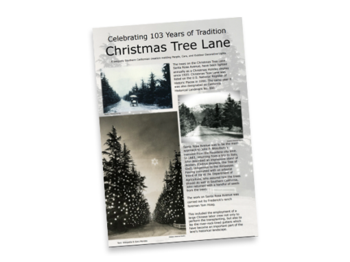 Christmas Tree Lane