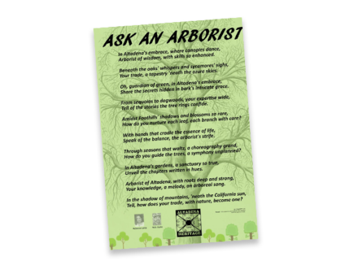 Ask an Arborist