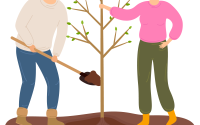 Online Tree Worksop Three